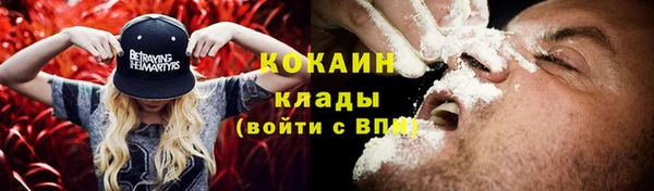 твердый Козловка
