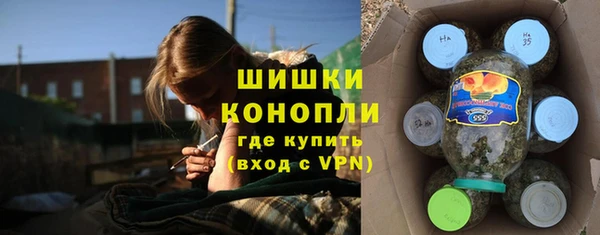 молекула духа Киреевск