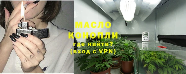 молекула духа Киреевск